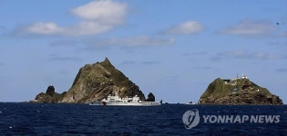 제7기동전단(81구조작전팀) | "독도ㆍ이어도 수호에 3~4개 기동전단 필요"