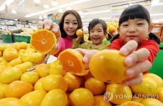 가을 하우스 밀감 맛보세요!