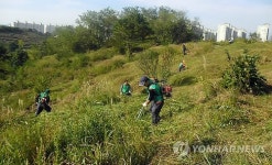 16년째 무연고 묘 벌초하는 충주 새마을協