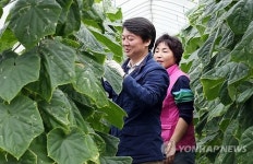 오이 농장 방문한 안철수