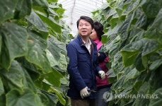 안철수, 봉황52농장 방문