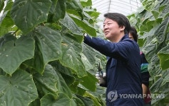 오이 농장 방문한 안철수