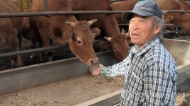 하루 세 번 주던 사료를 두 끼밖에…