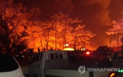 완도 보길도 천연기념물 상록수림 화재(종합)