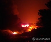 완도 보길도 천연기념물 상록수림 화재(종합)