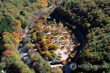 <카메라뉴스> 덕유산 오토캠핑장 단풍으로 장식