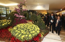 연세장례식장, 천국 가는 길에 국화 꽃밭展