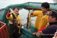 동해안 하천 연어포획 작업 시작