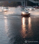 부산 130 79년만 최대