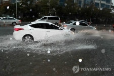 부산 130 79년만 최대