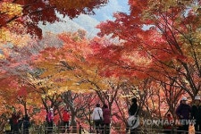 가을정취 만끽하는 탐방객들