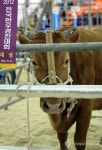 가평 한우 전국한우경진대회에서 대통령상