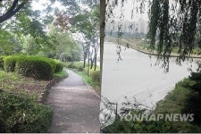 한강변서 힐링하며 늦가을 정취 느껴보세요