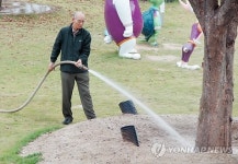 나무에 물 주는 박흥수 원장