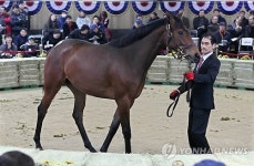 말 조련사ㆍ장제사 첫 국가공인 시험 치른다