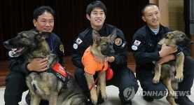 복제 인명구조견, 중앙119구조단 품으로