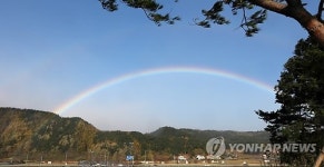 희망을 가지세요…강릉에 무지개