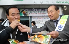 단감 나눠드려요