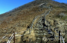 무주국유림사무소, 덕유산 백두대간 숲길 구축