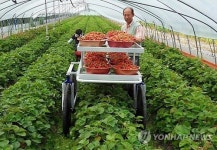 운반작업차로 농사일 편하게 하세요