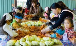 금병초교 직접 수확한 배추로 김장 담가요