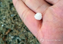 7일 광주서 우박 관측…9일까지 눈 예보