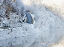 춘천호에 피어난 상고대