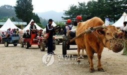 전국 최고의 색깔마을…정선 개미들 마을