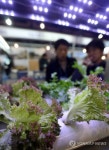 퇴직 후 귀농 어떠세요?