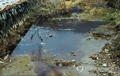 제천서 가축분뇨 하천 유출