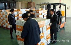 김해 진영단감, 유럽시장에 첫 수출