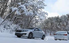 화이트 크리스마스 제주