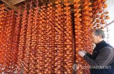 한 개에 1만 원…명품 강릉 곶감