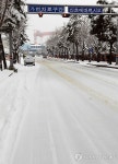 거제에도 많은 눈…한산한 조선소 앞 도로