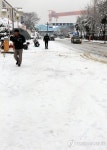 거제에도 많은 눈…한산한 조선소 앞 도로