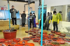 남해수협, 미조위판장에서 수산물 초매식