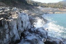 부산 바닷가도 꽁꽁