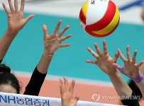 손 대 손