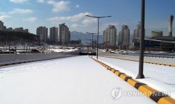 대전 도안신도시 입주민 숙원 동서대로 7월 개통