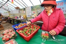 싱싱한 딸기 많이 드세요