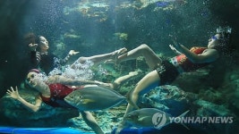 수족관에서 만나는 뮤지컬 인어공주 이야기