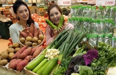 채소값 30% 저렴하게