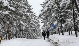 동해안 폭설이 선물한 설경