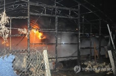 안성 오리농장서 불… 오리 7천500마리 폐사