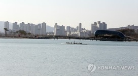 행복청·LH, 세종시 호수공원 노점상 철거 고민