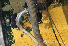 제주 감귤가공공장서 질식사한 직원 구조