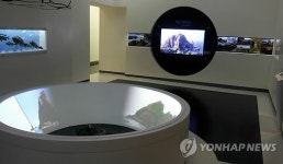 수산과학관, 독도특별전시관 공개