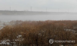 물안개 속 대구 안심습지