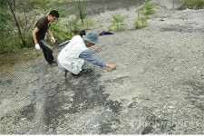 영동 공룡발자국 화석지 방치…보존 대책 시급