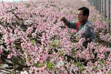 여기가 무릉도원